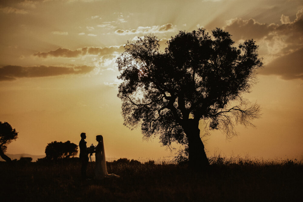 Silhouette sposi sotto il grande albero monumentale al tramonto pugliese
