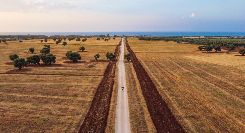 Fotografia con drone matrimonio Puglia strada tra i campi dorati